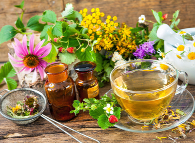 Phytotherapie